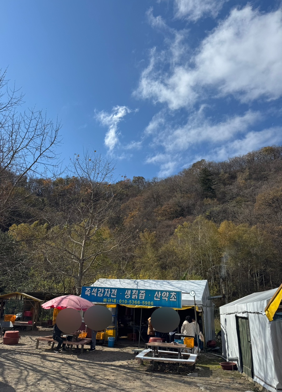 용규네 이미지