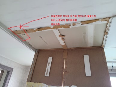 양동수선 이미지