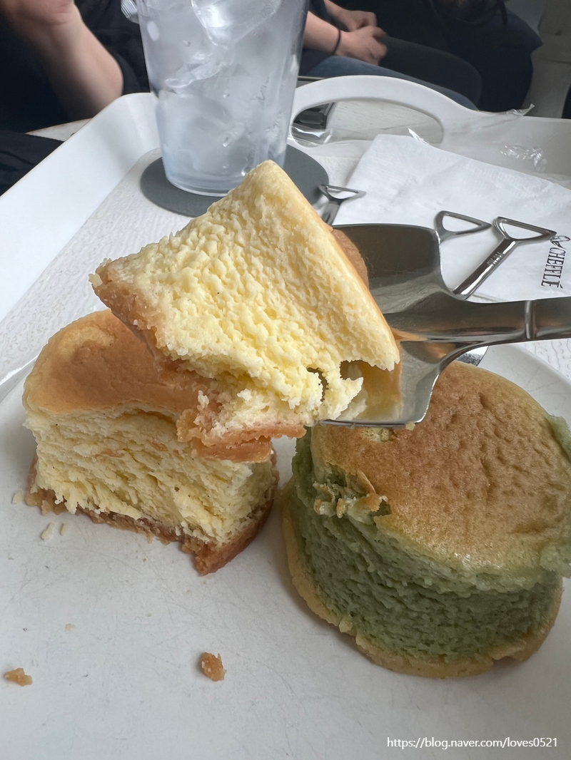 딥포레 이미지