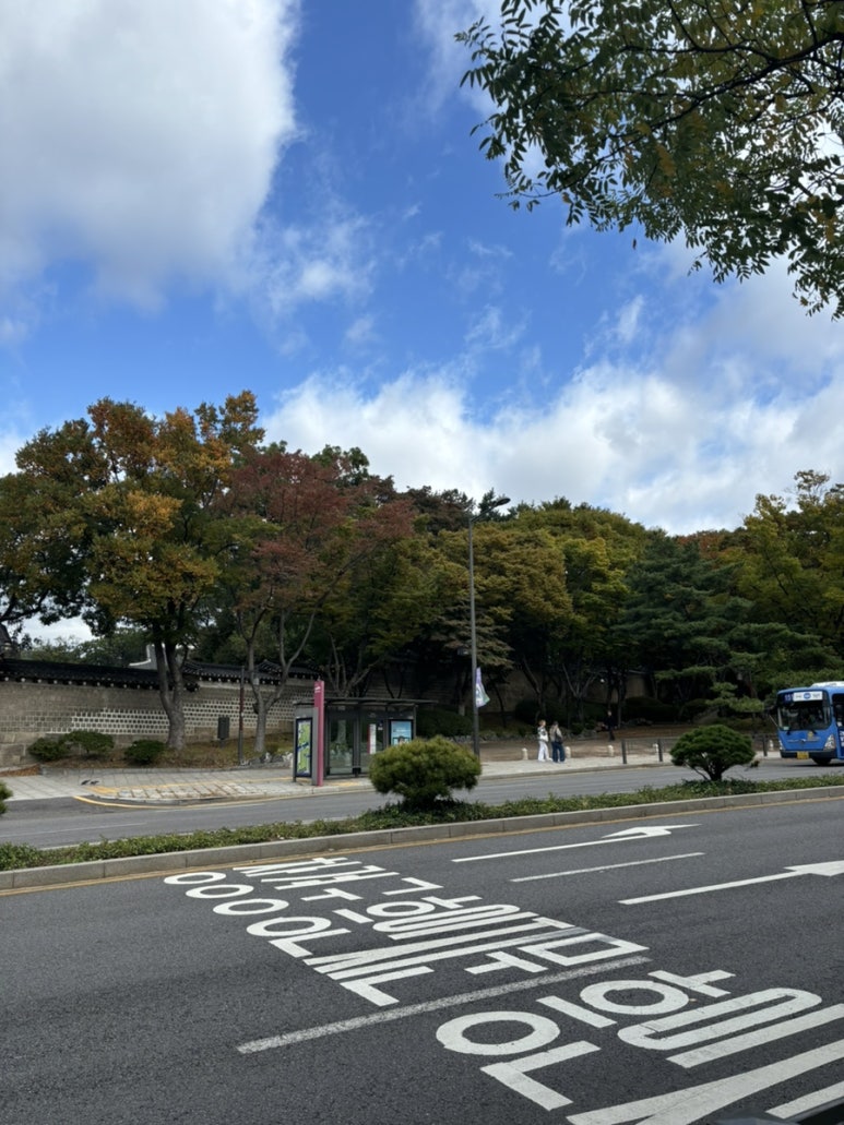 스코프 베이글 이미지