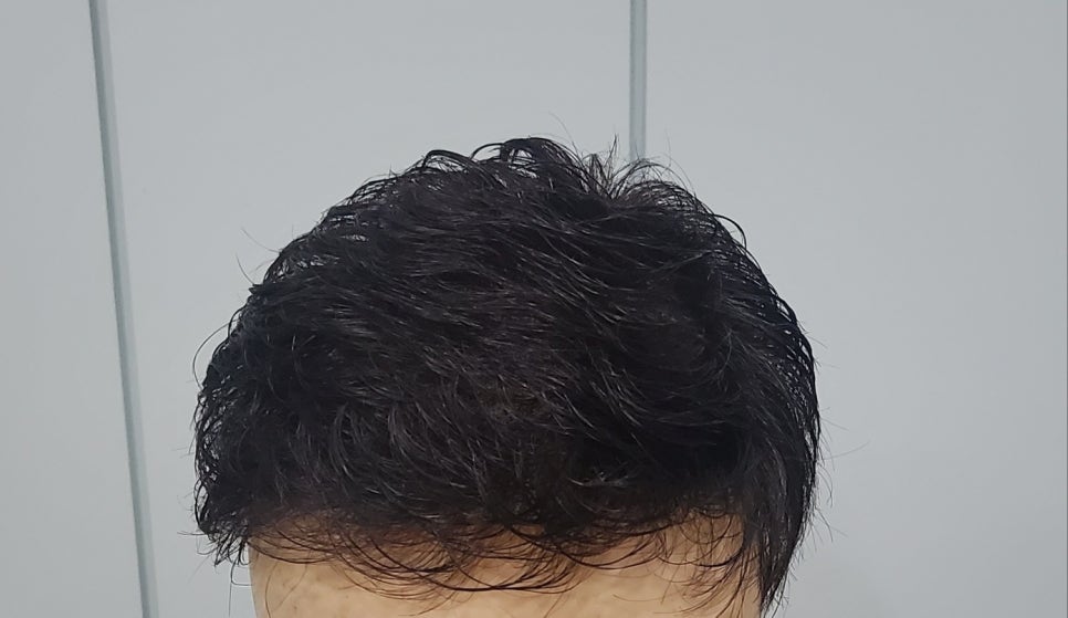 가모미모 이미지