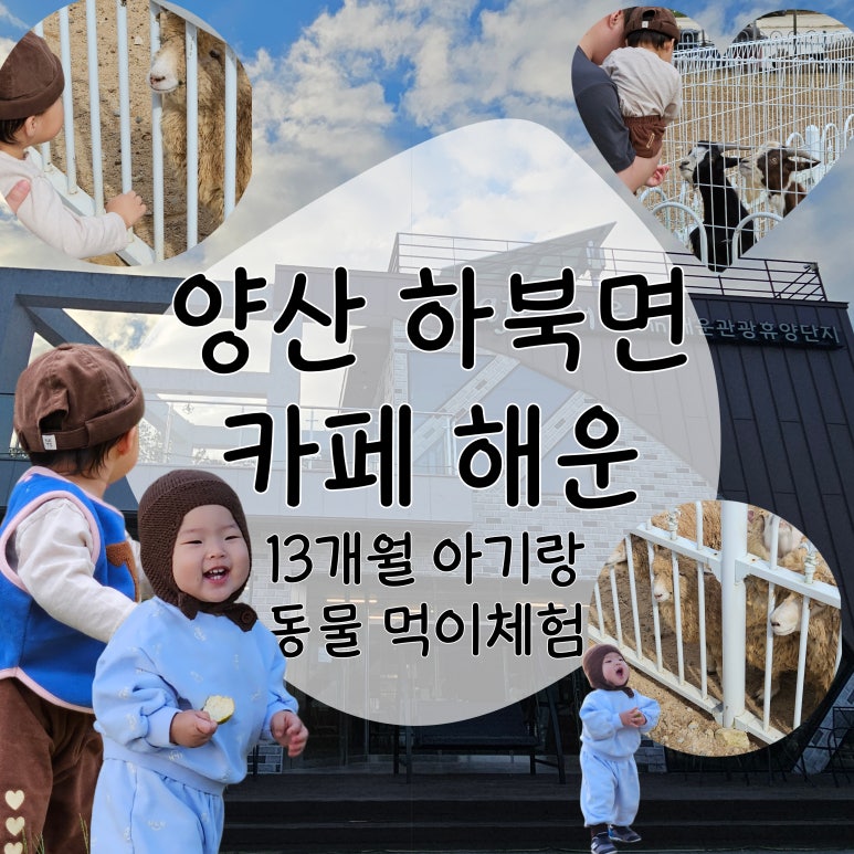 카페해운해운관광휴양단지 이미지