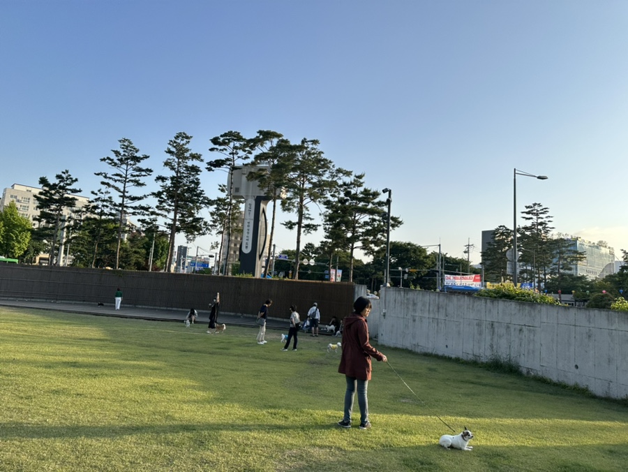 육회바른연어(방학사거리점) 이미지
