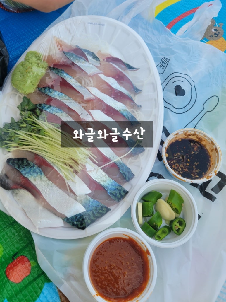 싱싱와글와글 이미지