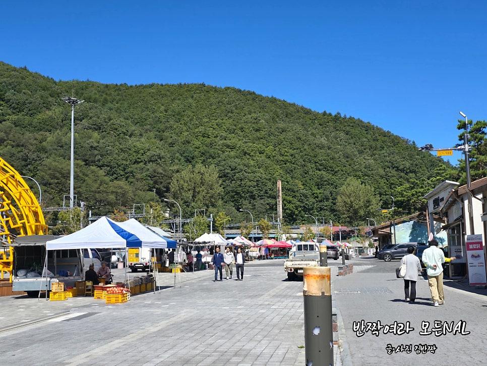 기차놓친가락국수 이미지