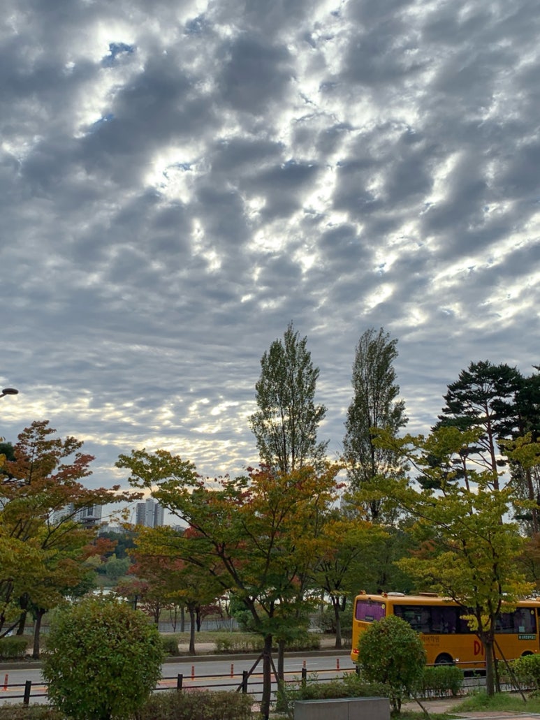 지코바역북 이미지