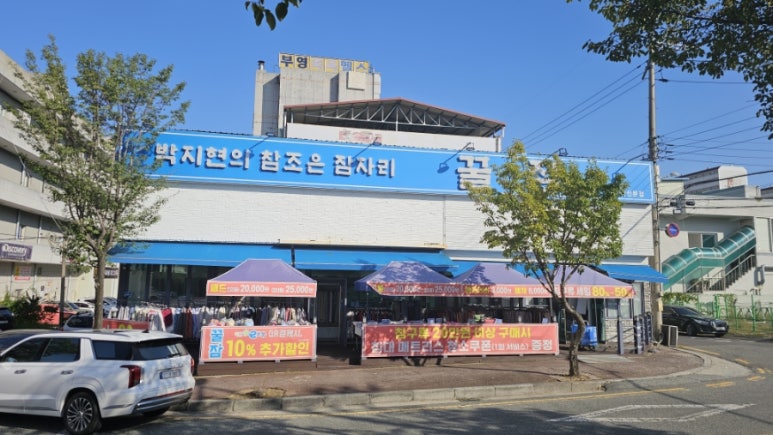 박지현의참조은잠자리꿀잠 이미지