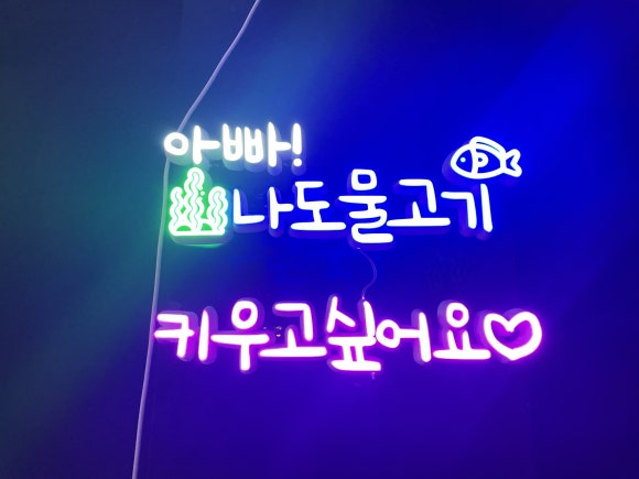 물고기카페 이미지