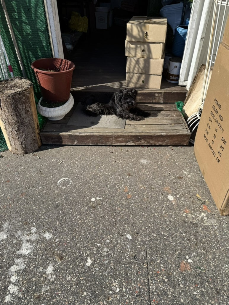 블리스버거 광교점 사진 6