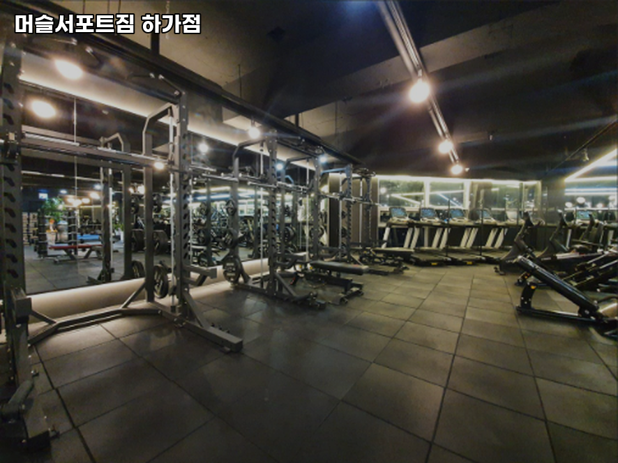 머슬서포트짐 이미지