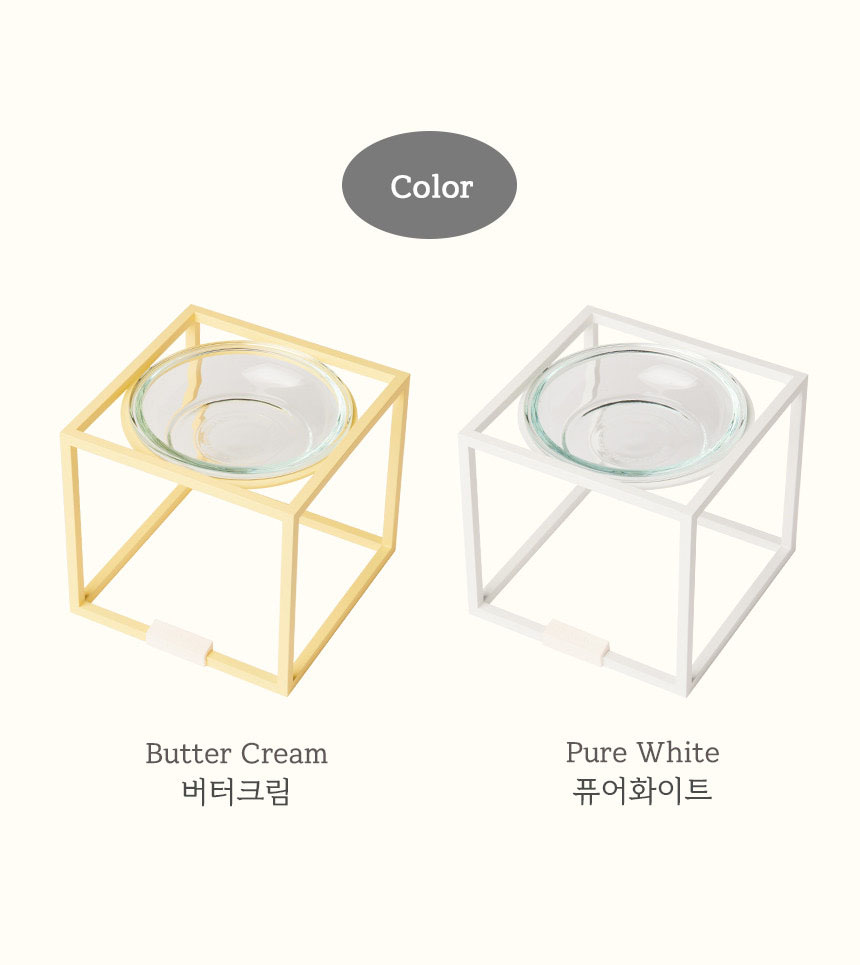 얼라이브스튜디오 이미지