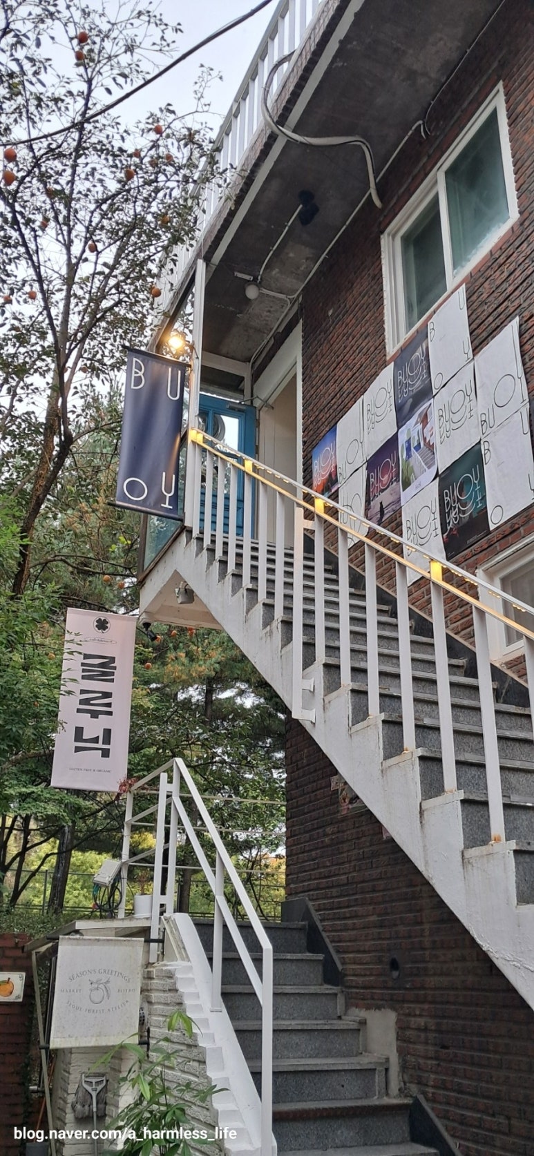 글루닉 이미지