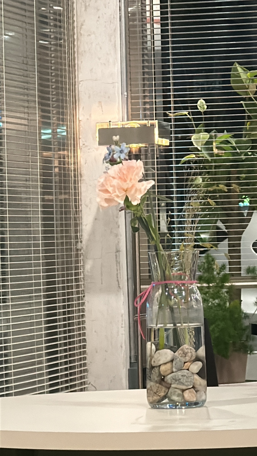 러프라이프커피 이미지
