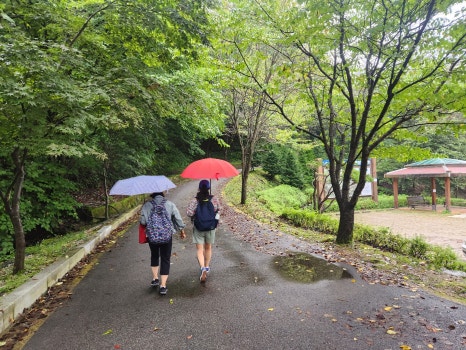 금원산생태수목원 이미지
