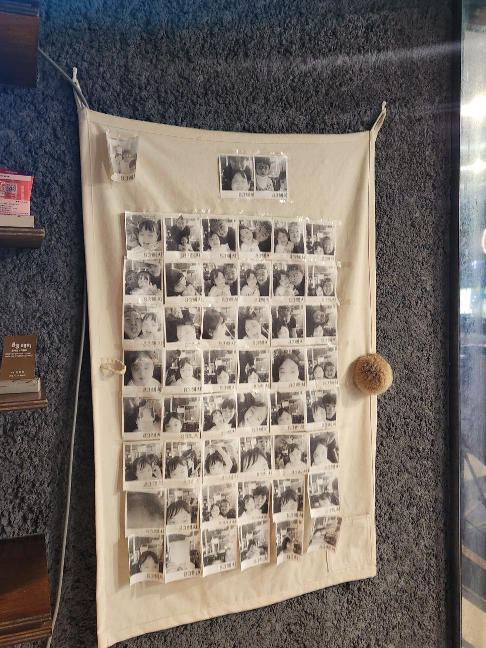 83돼지 이미지