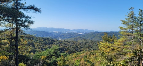 산길 이미지