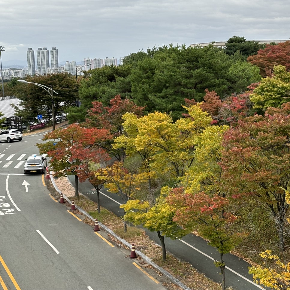 베스킨라빈스(비산점) 이미지