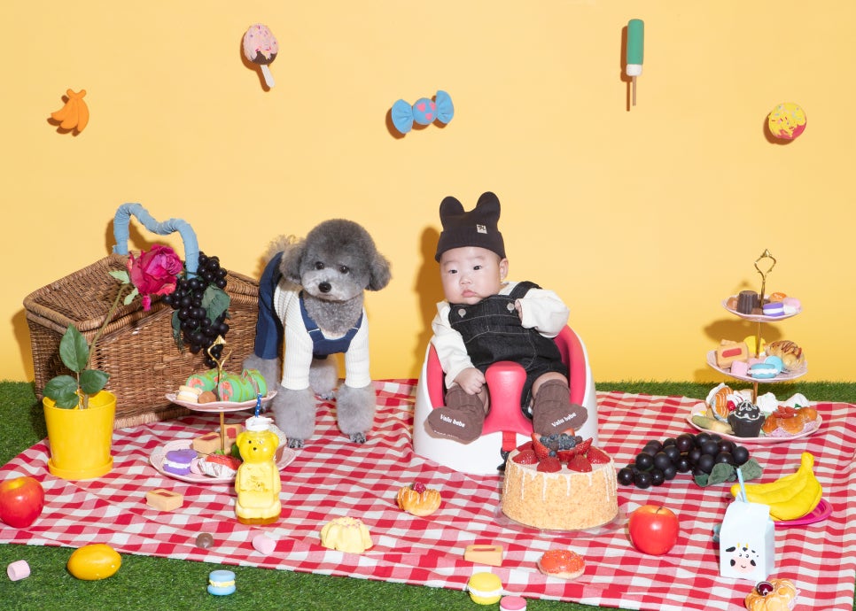 다정사진관 이미지