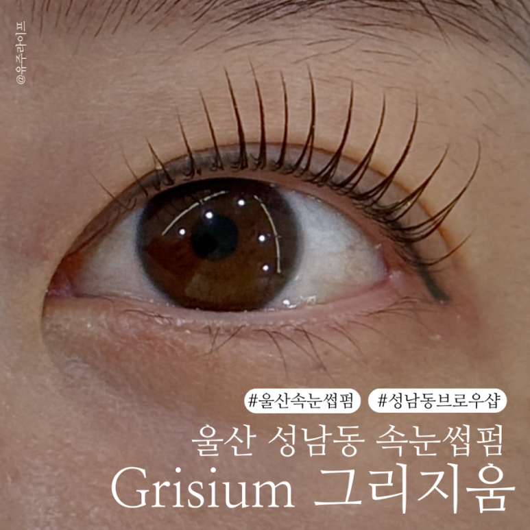 그리샵 이미지