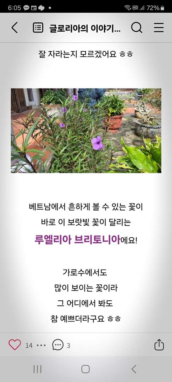 빵 사진 7