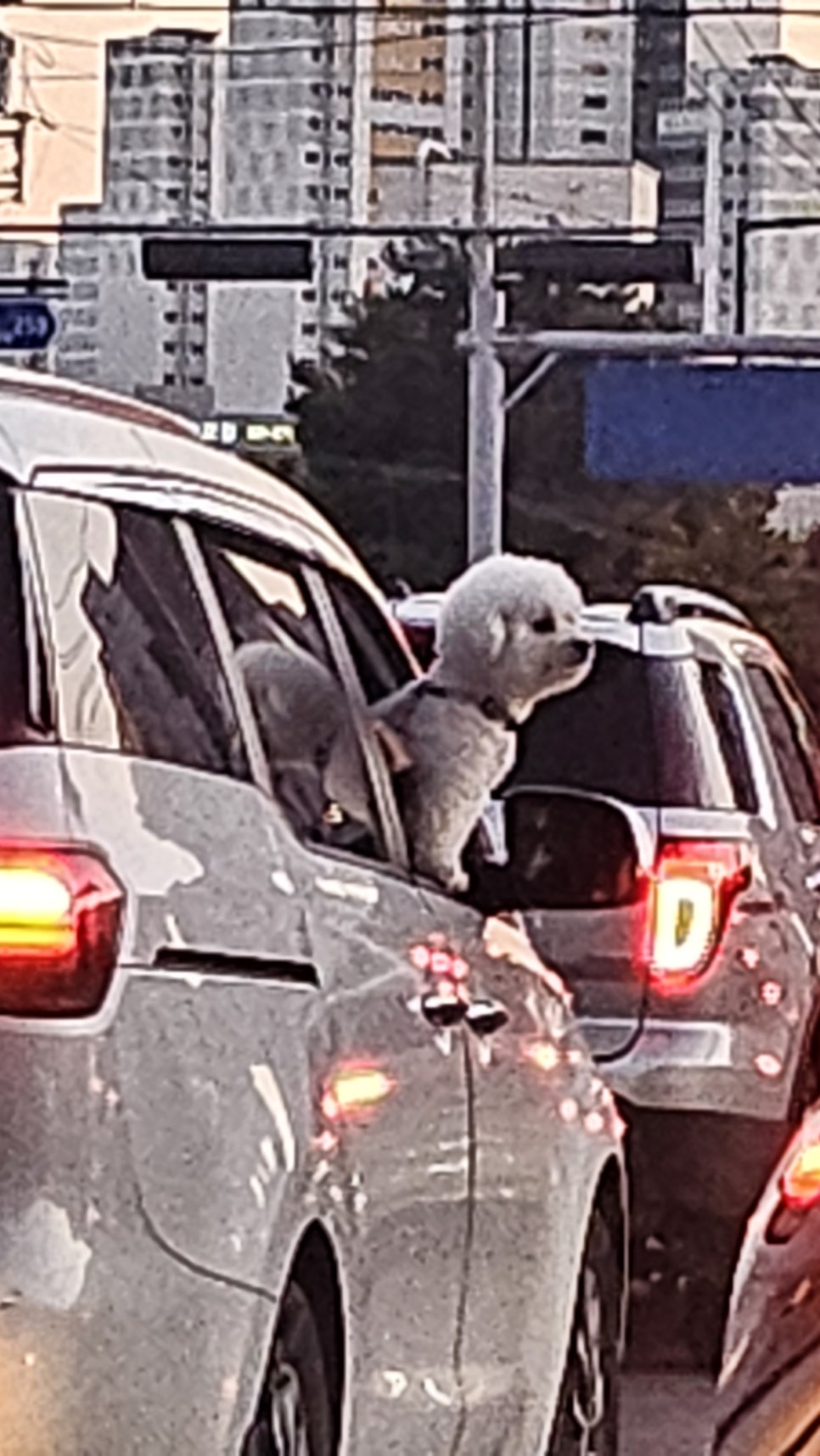 그린특수가스 이미지
