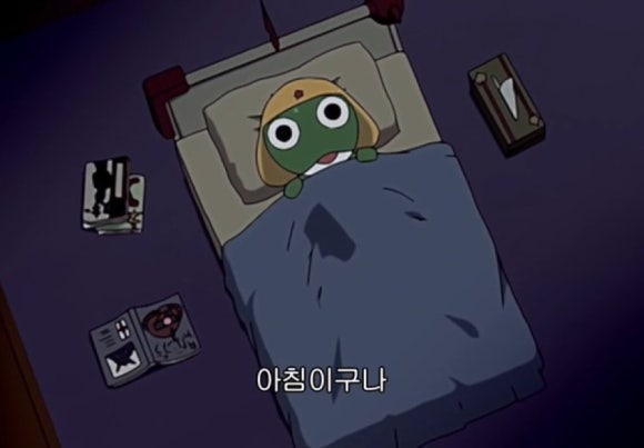 위위 이미지