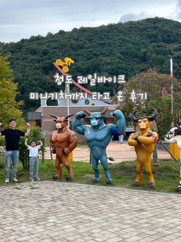 청도전동바이크 이미지