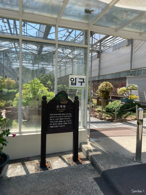 푸른분재원 이미지