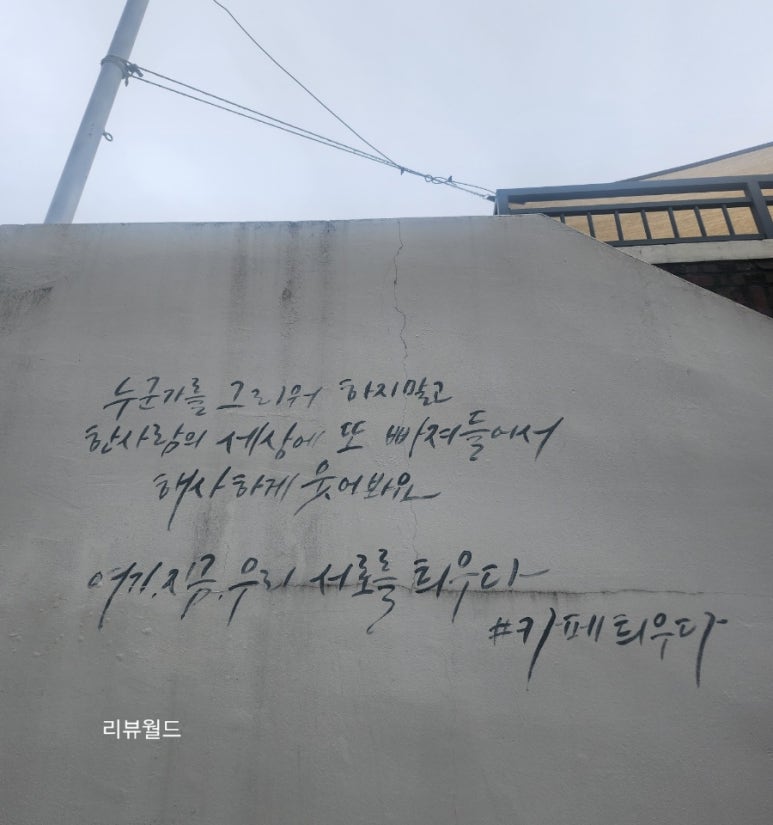 카페틔우다 이미지