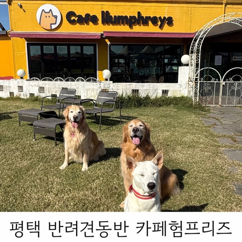 카페험프리즈 이미지