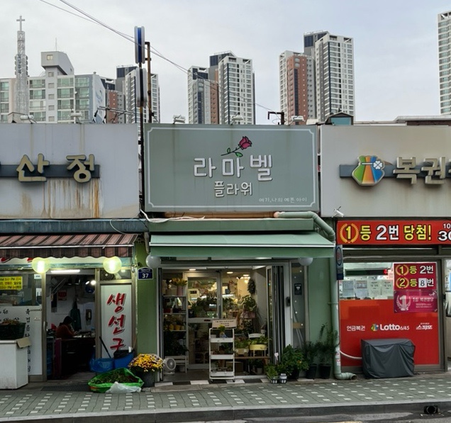 라마벨플라워 이미지
