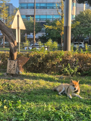 춘삼댁 이미지