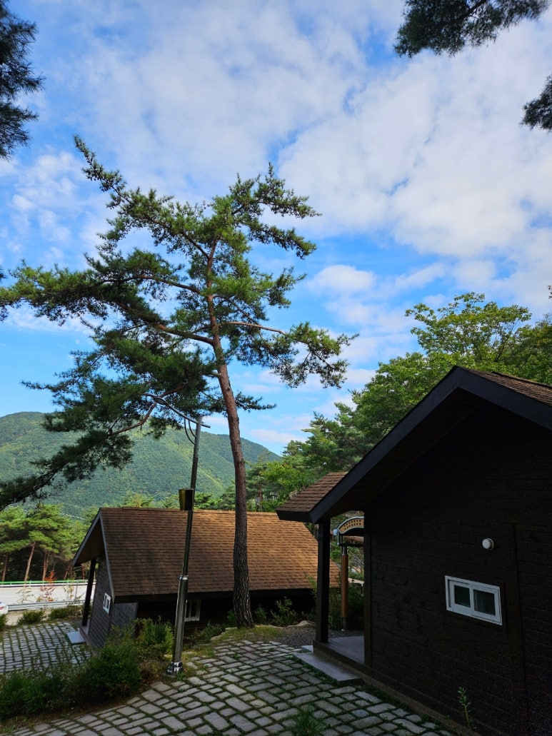 화왕산자연휴양림야영장 이미지