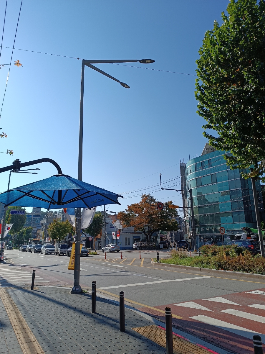 성북구 플라워 원데이 클래스: 꽃다발 만들기 후기 (2시간) — 사진 1
