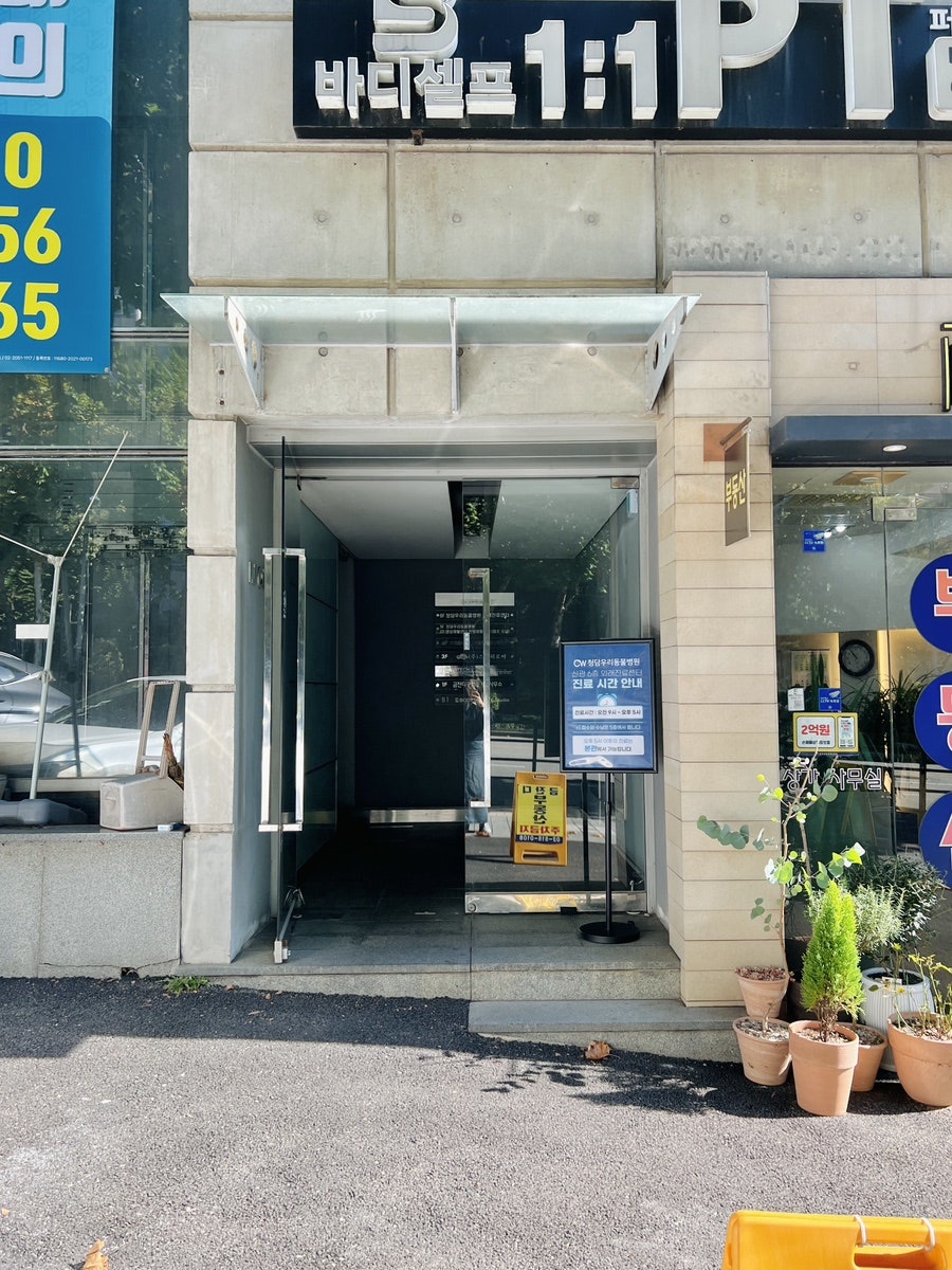 강아지 슬개골탈구, 강남 청담우리 24시 병원 재활 치료 후기 — 사진 5