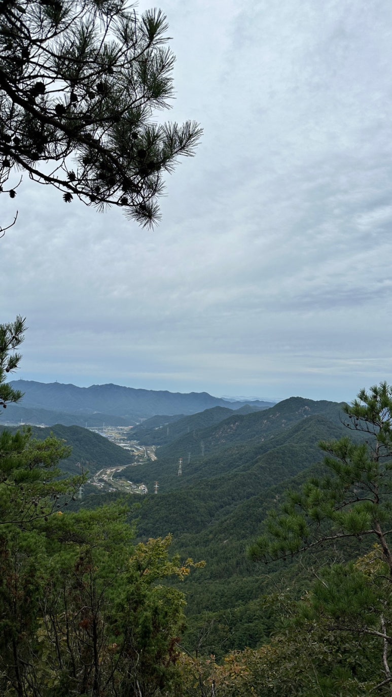 장령산자연휴양림 야영장 이미지