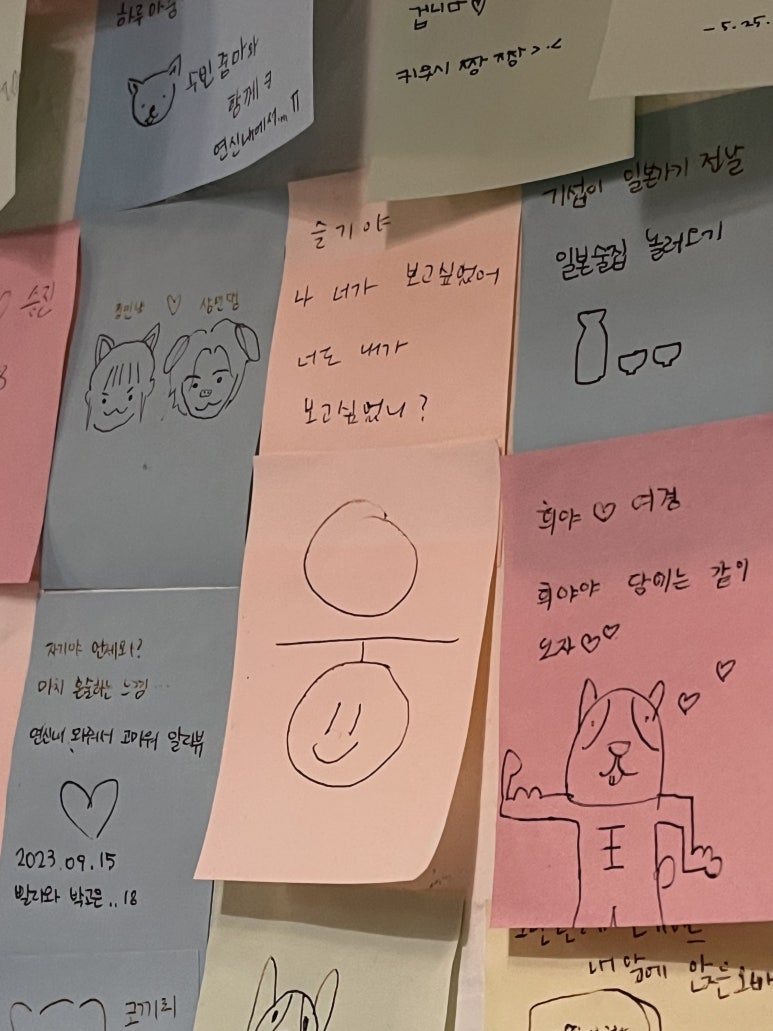 키무시 이미지