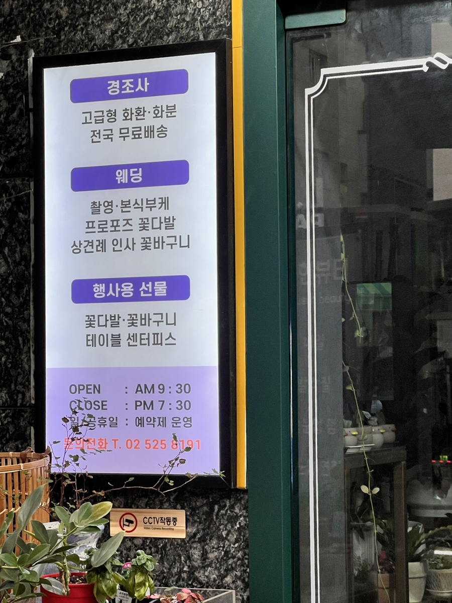 백석대 플로렌B 가을꽃꽂이 원데이클래스 후기 — 사진 3