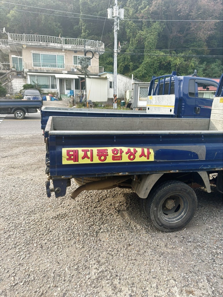 돼지종합상사 이미지