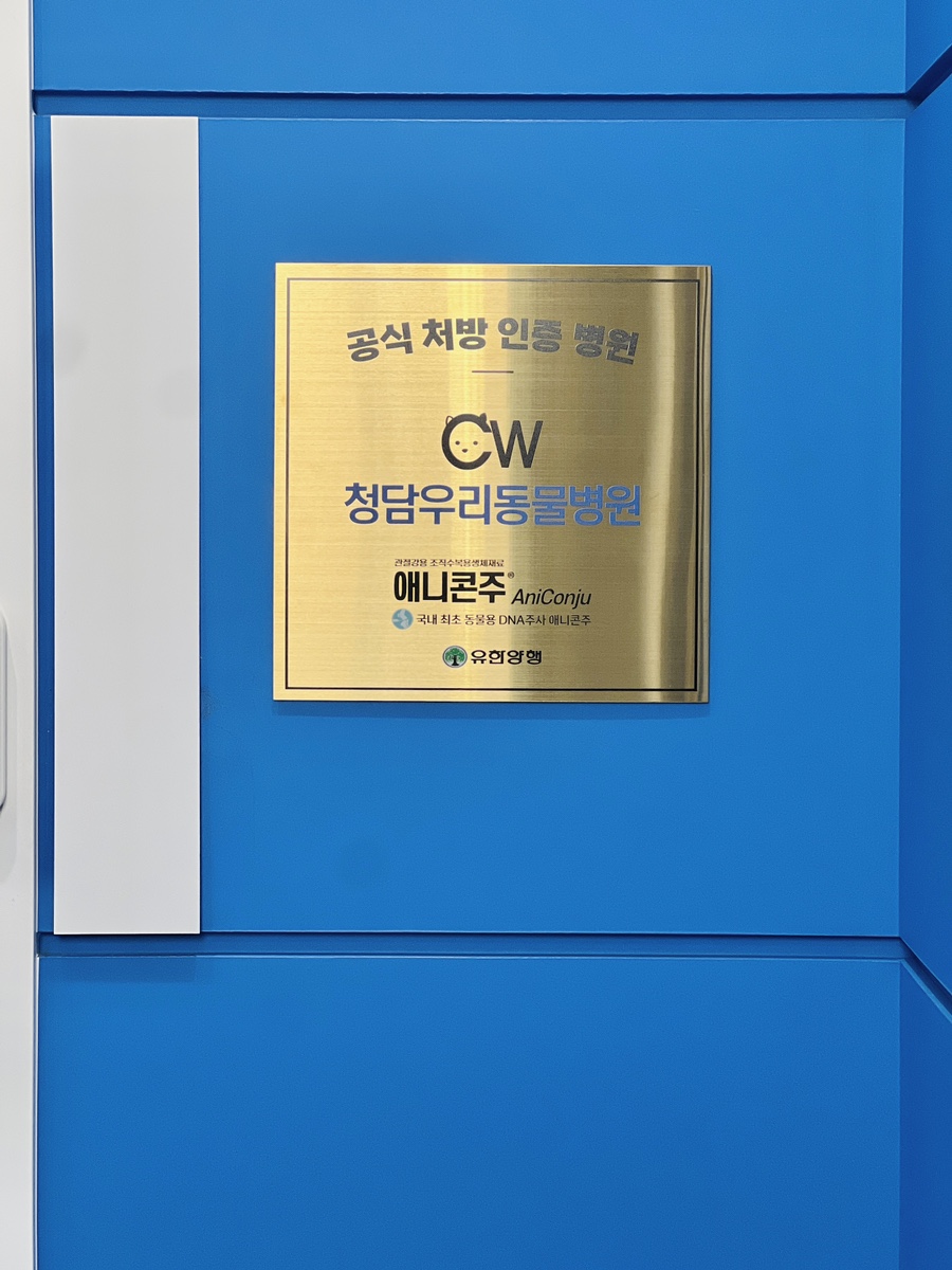 강아지 슬개골탈구, 강남 청담우리 24시 병원 재활 치료 후기 — 사진 8