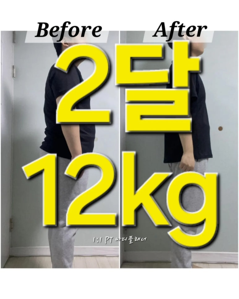 바디플래너 이미지
