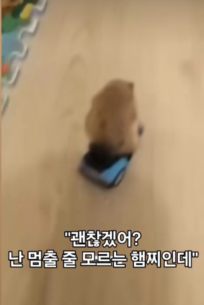 하늘손 이미지