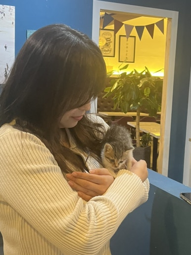 테인566 이미지