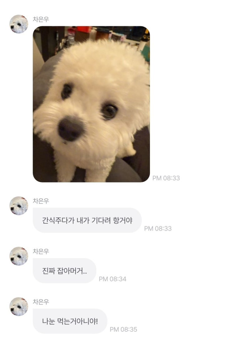 둘셋 이미지