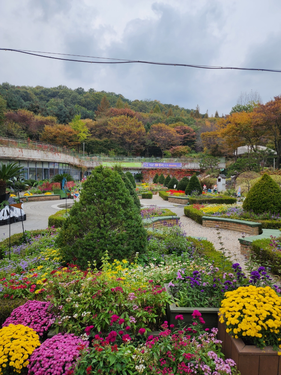 한림꽃농원 이미지