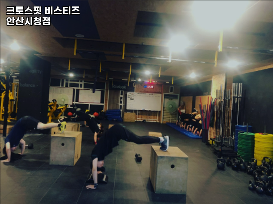 비스티즈 이미지