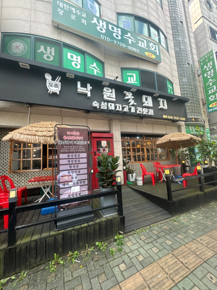 꽃돼지세상 이미지