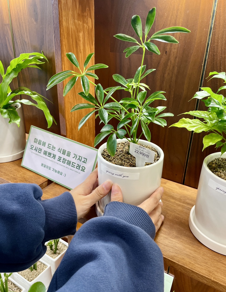 너와나의봄 이미지