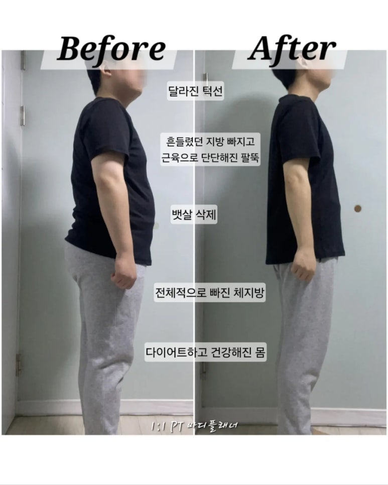 바디플래너 이미지