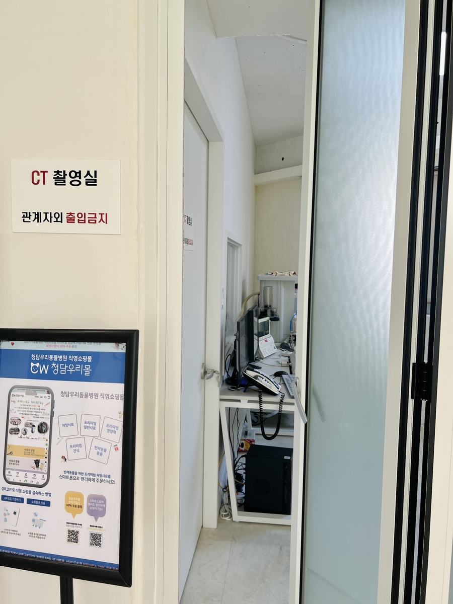 강아지 슬개골탈구, 강남 청담우리 24시 병원 재활 치료 후기 — 사진 17